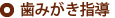 歯みがき指導