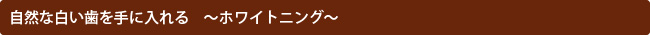 自然な白い歯を手に入れる　～ホワイトニング～