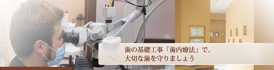 歯の基礎工事「歯内療法」で、大切な歯を守りましょう